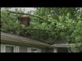 News video: NWS Confirms 6 Tornadoes